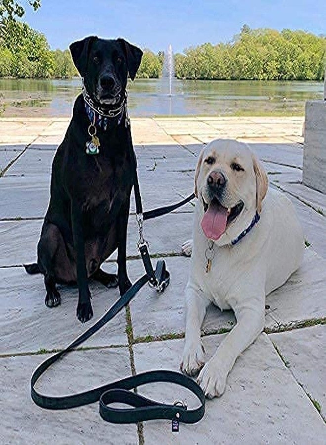 D&C PAWS سلسلة كلاب من دي آند سي باوز، مصنوعة من النحاس الصلب النقي شديد التحمل، مزودة بمشبك دوار أحادي الطرف دائري الشكل. (ذهبي، عبوة من 4 قطع) - Image 2